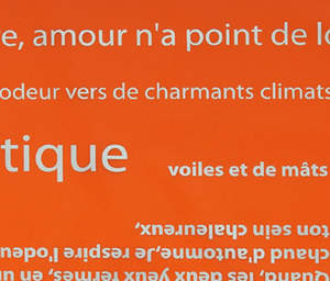 Film d'emballage BOPP ELF populaire à motif alphabétique pour cadeaux, emballage de bouquets et loisirs créatifs - Product Image 3