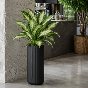 Juego de macetas decorativas redondas y altas con diseño acanalado para balcones, terrazas, jardines y exteriores, 2 tamaños, 2 piezas grandes para plantas - Product Image 4