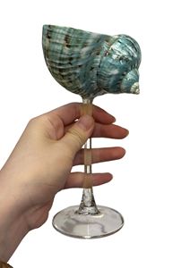 Verre à vin vintage de collection en coquillage marin naturel – Macy - Product Image 6