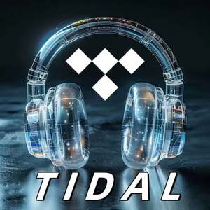 Abonnement Tidal Premium Tidal Music 12 mois, comptes Tidal, abonnement Tidal Hifi Plus 1 an - Product Image 2