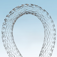 Système de stent vasculaire périphérique haute performance EVERFLEX PROTEGE pour applications cliniques professionnelles