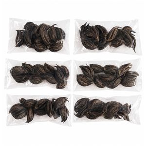 AQUA VRIKSHA Garra de Tigre Seca Natural para Acuarios, Peceras de Betta, Peceras de Camarones y Acuapaisajismo |   Paquete de 24 - Product Image 6
