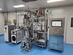 Bailun 30L-300L Fermentador a escala piloto bacterias Recipiente de acero inoxidable Control De pH/DO monitoreo de bioprocesos BLBIO-SJA - Product Image 2