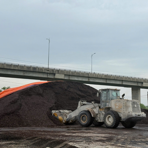 Coques de noix de cajou brutes en vrac avec une approvisionnement fiable, meilleur prix et export en gros - Product Image 4