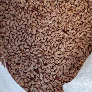 Haricots Sucrés de Haute Pureté à Faible Teneur en Impuretés Étrangères, Soigneusement Traité pour une Approvisionnement Fiable en Ingrédients en Vrac - Product Image 4