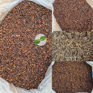 Varillas de Clavo Indonesio Premium para la Industria de Especias |   Origen Indonesia |   Bolsas de PP de 25 kg |   MOQ 15 MT FCL |   Muestra Disponible - Product Image 3