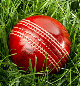 Pelota de Cricket Personalizada con Logotipo, Duradera, Rellena de Plumas, Cuero de Primera Calidad, Cosida a Mano - Product Image 3