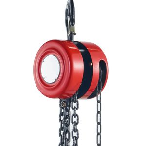 Paranco Manuale a Catena da 2,5m/8ft, Capacità 1 Tonnellata, Altezza di Sollevamento 6m, Grado Industriale - Product Image 1