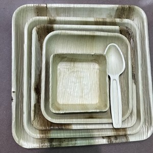 [HAUTE QUALITÉ] |   Assiettes jetables compostables biodégradables en feuilles de palmier de 10 pouces, lot de 50, pour fêtes, événements, traiteur, Vietnam - Product Image 6