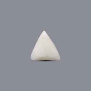 Natural White Coral Oval Cabochon 6.15 Carat Loose Gemstone 7mm Certified Wholesale - Product Image 2