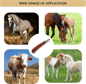 Instrumentos Veterinarios Seguros y Confiables para Uso a Largo Plazo: Recortadora con Cuchillas de Acero Inoxidable y Mango de Madera, Cuchillos para Pezuñas - Product Image 3