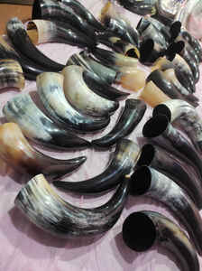 Par de Cuernos Naturales Decorativos Estilo Animal, Decoración de Pared Pulida y Pieza de Exhibición de Moda por ARTWORK MAESTRO INDIA - Product Image 3