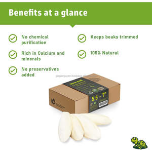 GIA NGUYEN Os de seiche propre, nourriture pour perroquets, fournitures pour oiseaux de qualité supérieure, origine Vietnam - Product Image 2