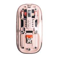 Arctic Fox CLEARVIEW Mouse Nirkabel Transparan Optik Isi Ulang dengan Lampu LED Desain Ergonomis 4 Tombol Tipe-C