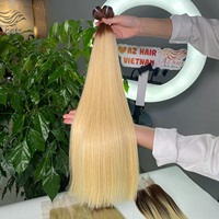 Extensions de cheveux naturels Remy vierges vietnamiens bruts, couleur blonde tendance, double trame, longues, pour tissage