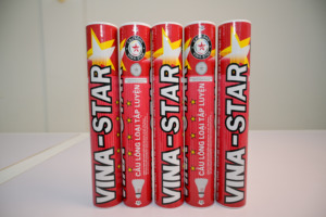 Volant de badminton professionnel en plumes d'oie et graphite, haute durabilité pour les tournois, l'école, le club et l'entraînement - Product Image 6