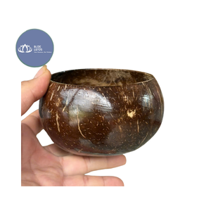 [BEST SELLER] Bol en coque de noix de coco Blue Lotus Lucy, durable, écologique, non toxique, sans danger pour les aliments, naturel, biologique, poli, classique - Product Image 1