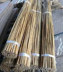 Piquets en bambou naturel droit, grands piquets en bambou pour la décoration - Product Image 2
