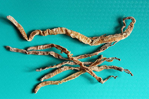 WELL DRIED PEANUT <b>WORM</b> TOP GRADE CRISPY DRIED SAND <b>WORM</b> FROM VIETNAM - Product Image 4