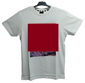 À la mode hommes demi manches séchage rapide 100% coton été hommes impression numérique doux Anti empilage décontracté col rond élégant t-shirts - Product Image 1