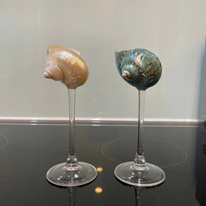 แก้วไวน์เปลือกหอยธรรมชาติทำมือ ฐานเงินทันสมัย ของขวัญตกแต่งบ้าน เชิงเทียนเปลือกหอย - Product Image 6