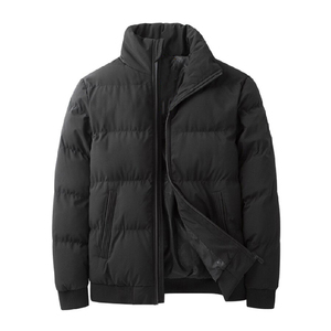 Blouson matelassé vert pour homme avec capuche, fermeture éclair, imperméable, écologique, manteau d'hiver décontracté, coupe régulière, rembourrage en polyester de haute qualité - Product Image 2