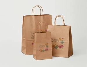 Bolsa de Papel Kraft Clásica para Compras, con Asa Flexiloop, Personalizable con Logotipo, Ecológica, Resistente, 100% Reciclable, para Llevar Comida - Product Image 4