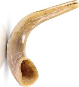 Cuerno de Shofar Natural, Económico, Hecho a Mano, Cuerno Religioso Judío para Oración, Rituales, Adoración y Práctica Espiritual - Product Image 4