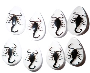 Cabochon Black Scorpion Pear Shape Cut <b>Top</b> 33x22 mm White Flat Bottom for Crafts and Jewelry Making - Product Image 1