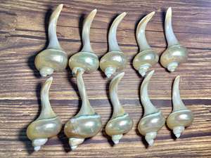Natural Seashell Chopstick Holder from Vietnam Mother of Pearl <b>Stand</b> for Japanese Dining Seafood Restaurants <b>BBQ</b> and Events - Product Image 6