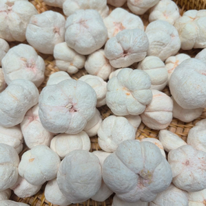 Freeze Dried Mangosteen Natural Tropical Fruit FD Drying Process Crispy Snack Vietnam Bulk Dried Fruits Export Supply - Product Image 4