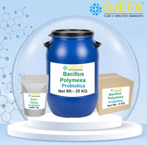 Inoculante Biofertilizante de Alta Concentración de UFC, Bacillus Polymyxa Subtilis, Polvo Humectante Controlado, Tratamiento Probiótico para Semillas - Product Image 4