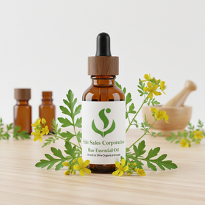 Huile Essentielle de Ru Concentrée pour les Fabricants de Produits Aromatiques et les Marchés d'Exportation - Product Image 1