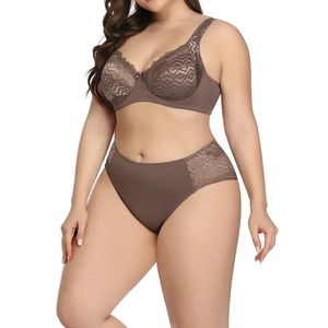 Conjunto de lencería sexy de encaje para mujer, sujetador sin aros y bragas, ropa interior transpirable de nailon y algodón para mujer, lencería negra al por mayor OEM - Product Image 6