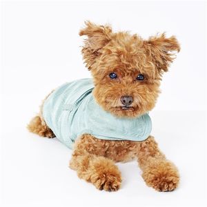 Harnais pour chien en coton biologique personnalisé haut de gamme ODM avec nom personnalisé - Product Image 3