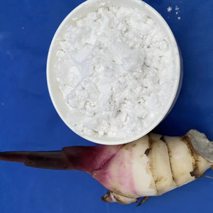Almidón de Araroto Orgánico de Alta Calidad, Sabor Natural, Ingrediente Alimentario en Bolsas, Procedente de Vietnam para Suministro a Granel - Product Image 1