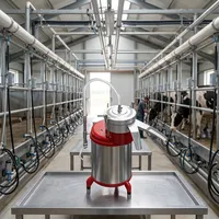 Separador de Crema de Leche de Acero Inoxidable de Grado Industrial, Máquina de Procesamiento de Lácteos con 99.9% de Recuperación, 220V 2.0KW, 1 Año de Garantía
