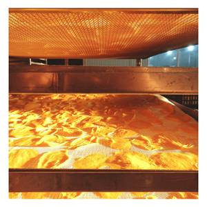 Vietnam Soft Dried Mango Chili Preserved with Water <b>Sour</b> & <b>Sweet</b> Bulk Packaging 99 Gold Data - Product Image 4