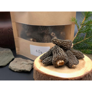 Champignons de morilles sauvages séchés Premium Wild East Naturhus pour applications culinaires professionnelles - Product Image 1