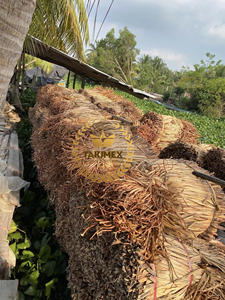 PRECIO MUY BARATO MATERIA PRIMA ECOLÓGICA AGUA SECA JACINTO CANTIDAD A GRANEL DE MUY ALTA CALIDAD DE VIETNAM - Product Image 2