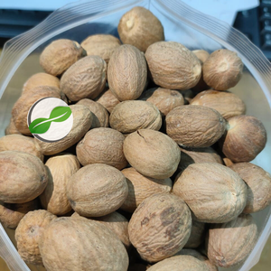 Noix de muscade entière premium d'Indonésie, provenant de l'île de Sulawesi – Arôme intense et saveur riche pour la cuisine, la pâtisserie et le bien-être – Exportation en vrac - Product Image 1