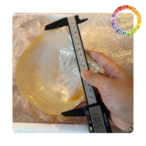 Luxury Polished Shell Plate Mother of Pearl Plate for Home Decoration and Event Use - Product Image 6