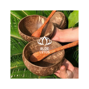 Bol en Coque de Noix de Coco Naturelle Écologique Fait Main, Vaisselle Bio pour Smoothies – Meilleure Vente - Product Image 5