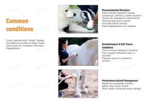 Appareil de thérapie par ondes de choc électromagnétiques EMFOCUS VET FSWT pour chevaux, traitement des blessures des tendons et des ligaments, soulagement de la douleur - Product Image 4