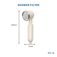 Pommeau de Douche Filtrant Portable Certifié CE, Économiseur d'Eau Haute Pression, avec Filtre à Vitamine C et Parfum Personnalisé