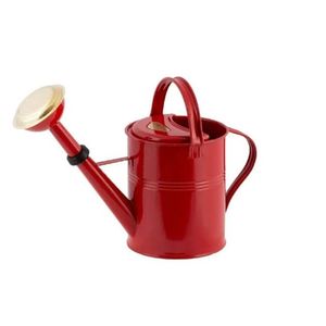 Arrosoir en métal tendance pour l'entretien des plantes de jardin, pot à eau durable avec long bec verseur, taille et couleur personnalisables - Product Image 2