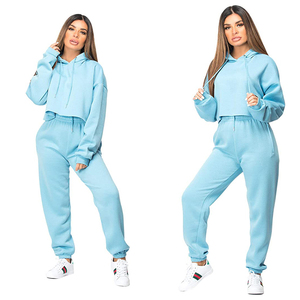 Crop top de sport pour femmes de haute qualité, bleu ciel, pour l'entraînement physique, manches longues, vêtements de sport pour femmes, fabriqué au Pakistan - Product Image 6
