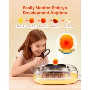 Incubateur à œufs automatique 24 œufs avec contrôle de la température et de l'humidité, fenêtre transparente à 360°, remplissage automatique d'eau pour œufs de volaille - Product Image 5