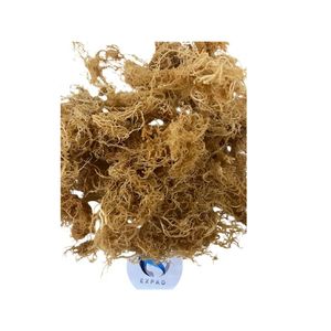 Musgo Irlandés Orgánico Seco al Sol, Eucheuma Cottonii, Suministro de Fábrica en Vietnam, Exportador OEM - Product Image 5