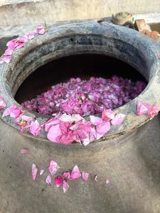 ALOURA OILS KABA ROSE Attar Oil-Water & Flower Infused with Heat Source for Perfumery & Aromatherapy Use Made in Uttar Pradesh - Product Image 6
